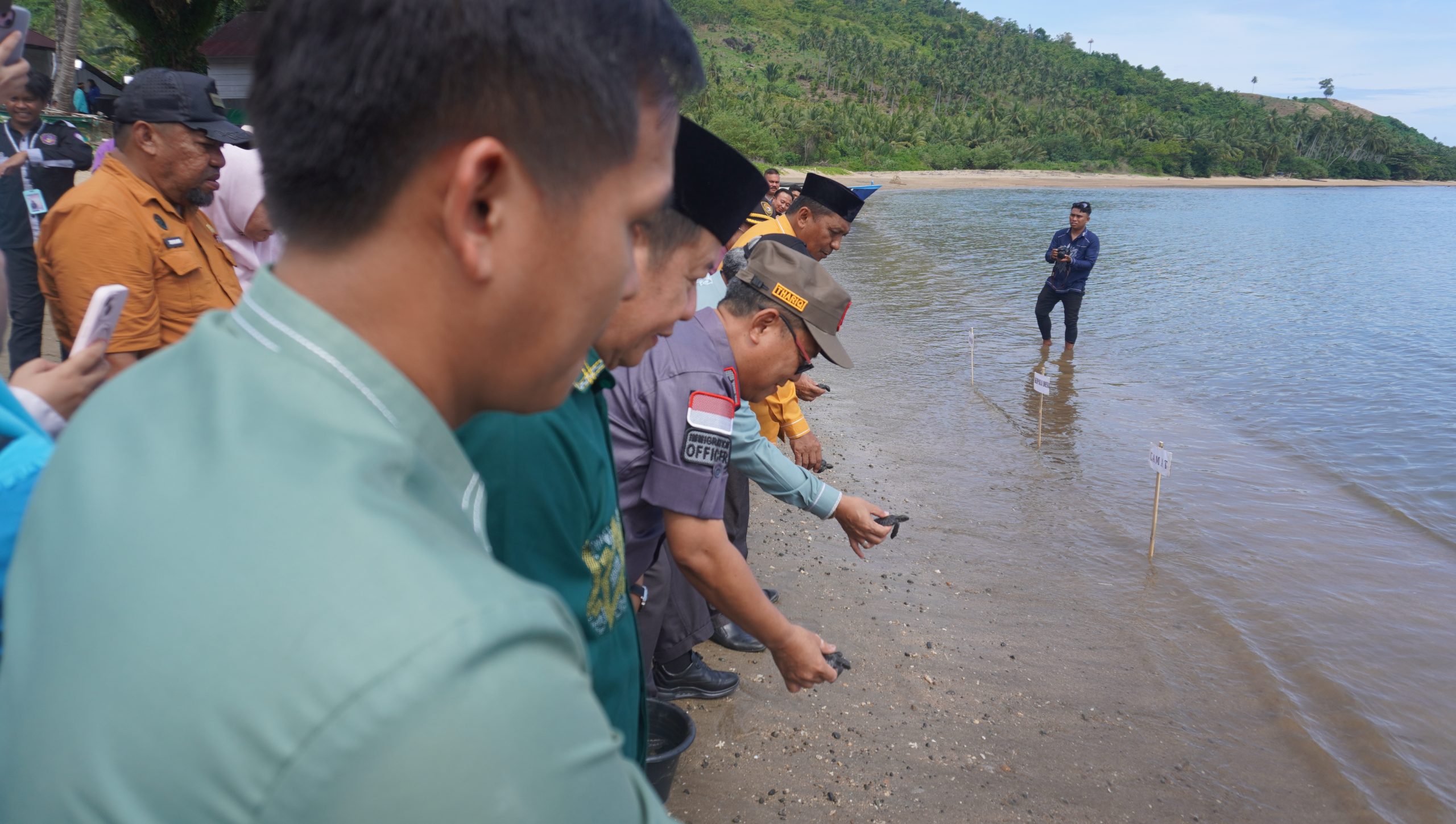 Mahasiswa Prodi Kesejahteraan Sosial UNU Gorontalo Bersama Pemda Gorontalo Utara Lepas Tukik di Pantai Desa Dunu : Kegiatan Praktek Kerja Lapangan